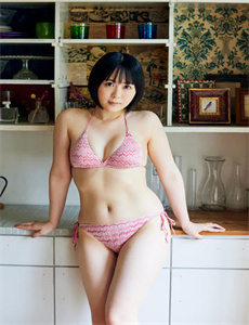 灰色野熊